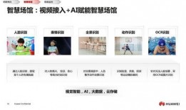 云瑾视频爆料网站大全,云瑾视频爆料网站大全深度解析